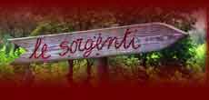 Agriturismo Toscana - Fattoria Biologica - Le Sorgenti