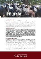 Il Bufalo